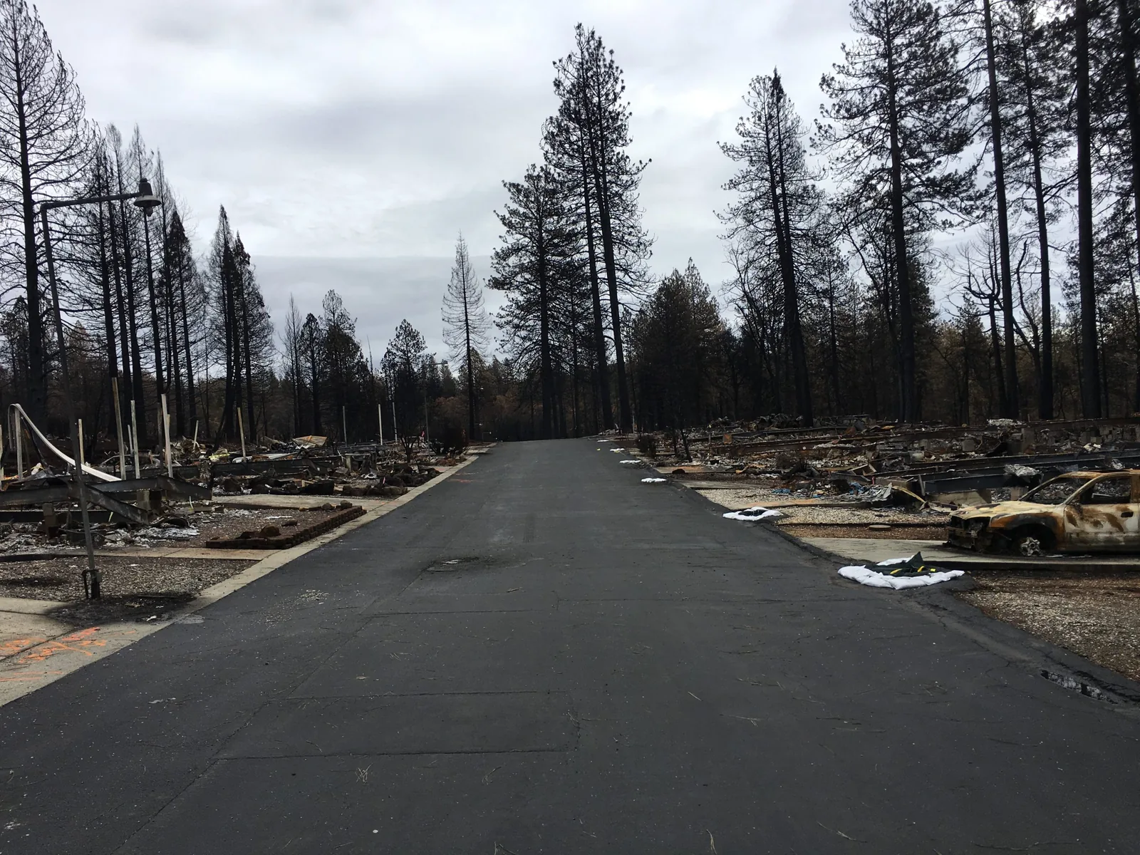 Firescaping: The Zone 0 Landscaping Insurers Reward