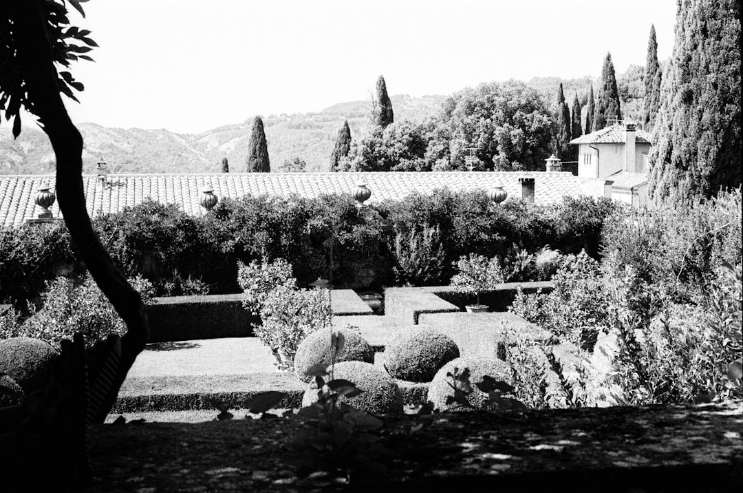 Organic Modernism in LA: The Craft Lesson of a 1958 Villa